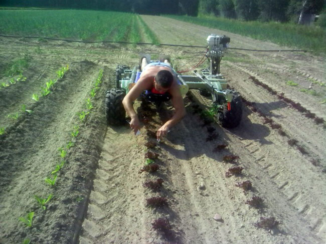 Plantering med hjälp av Drängen